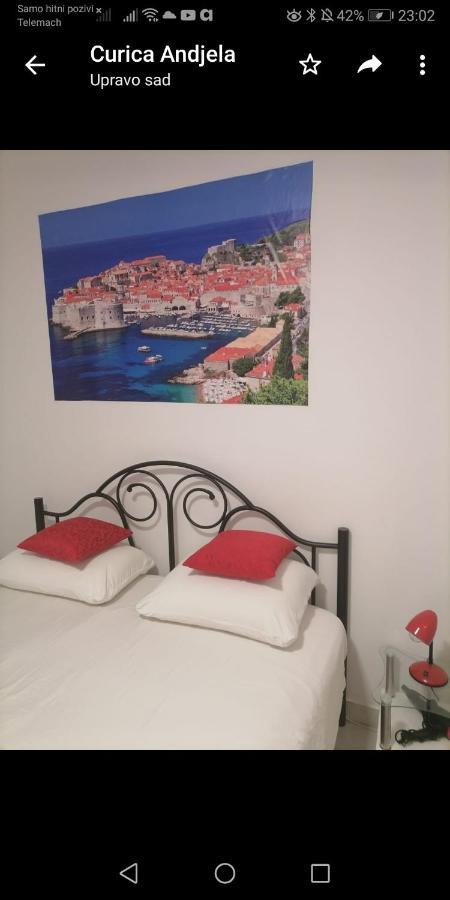 Room Dragica Dubrovnik Eksteriør billede